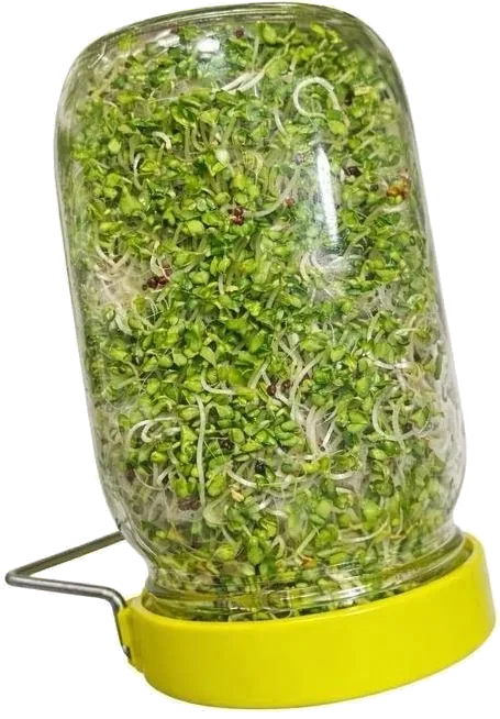 Grow Kit