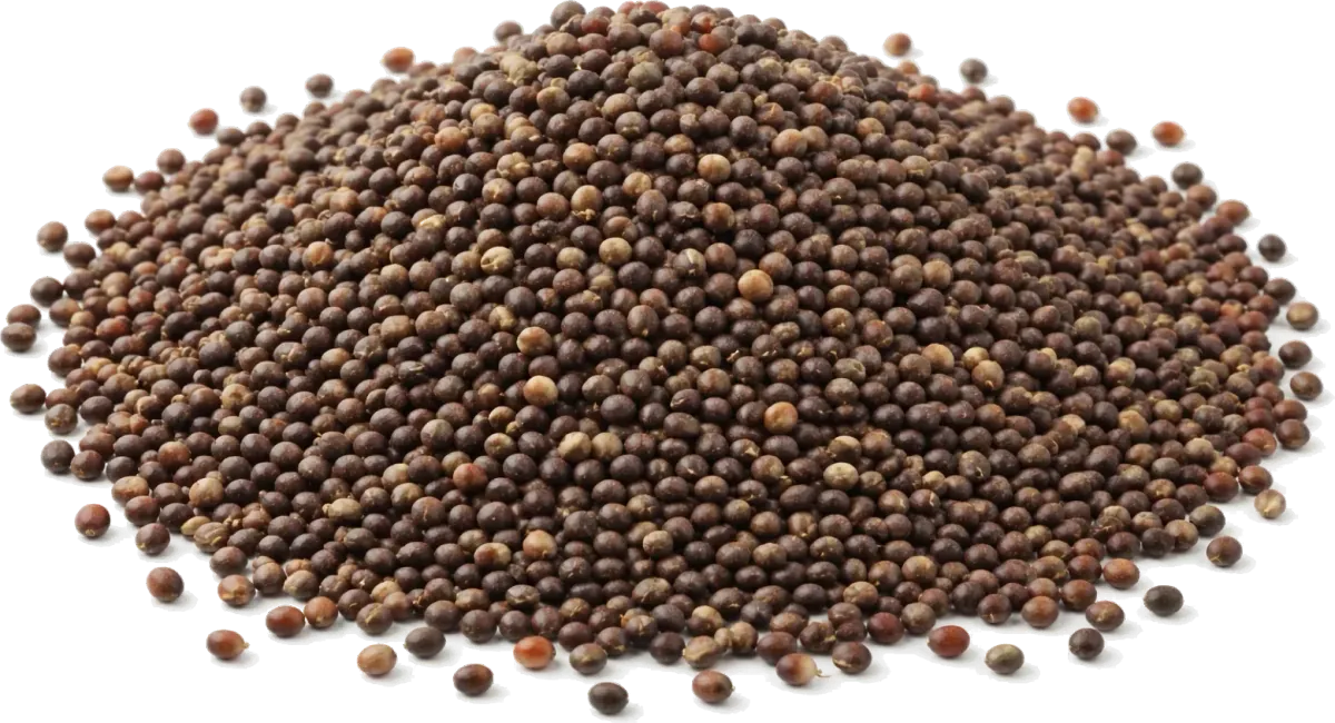 Broccoli Seeds